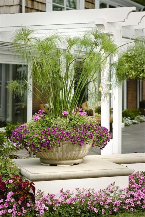 1001 + Ideas de decoración de jardín con maceteros grandes ...