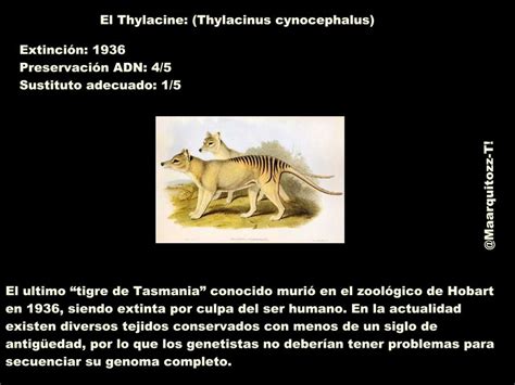 11 animales prehistóricos que podrían revivir   Info   Taringa!