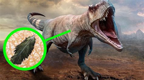 11 Datos impactantes sobre los dinosaurios, que eran ...