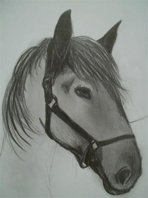 11 dibujos a lápiz de caballos | Dibujos a lapiz