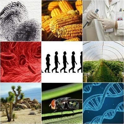 11 Examples of Biology in Everyday Life – StudiousGuy