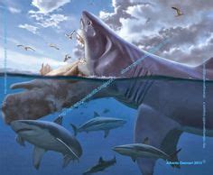 11 Facts About Megalodon, the Giant Prehistoric Shark ...