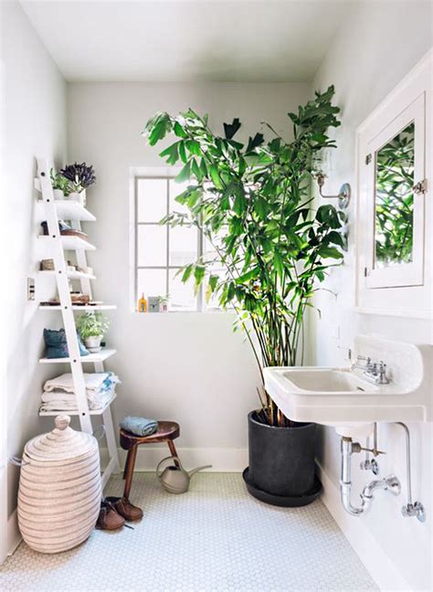 11 ideas para llenar de plantas el baño y crear tu selva en casa