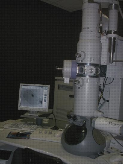 11 Mejores Microscopio Electronico De Transmision Utilidad ...