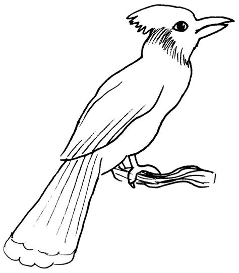 119 dibujos de Aves para colorear | Oh Kids | Page 12