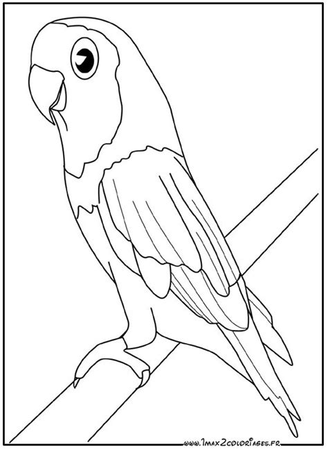 119 dibujos de Aves para colorear | Oh Kids | Page 13