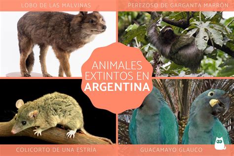 12 Animales extintos en Argentina y sus causas   Lista con FOTOS