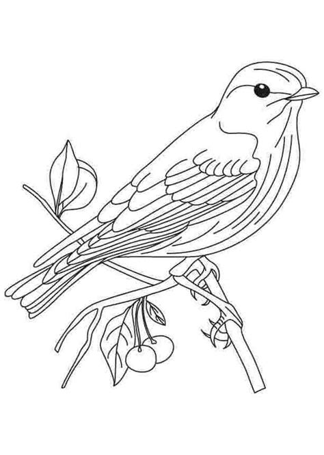 12 Best Free Printable Bird Coloring Pages For Kids
