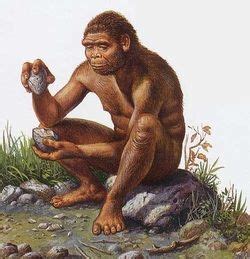 12.Homo. Es el género de primates homínidos que agrupa a ...