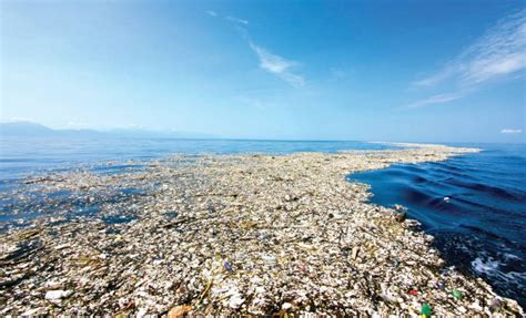 12 ideas para combatir la contaminación marina en el ...