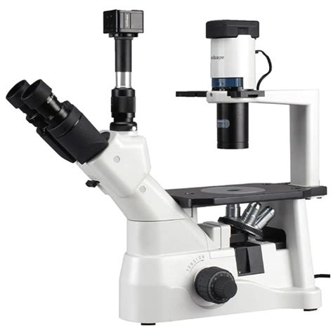 12 Mejores Microscopio De Contraste De Fases Comprar 2020