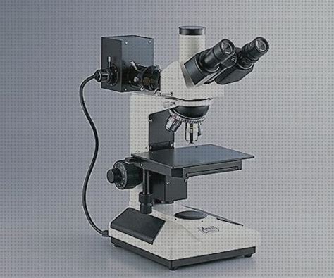 12 Mejores Microscopios Electrónicos De Reflexion 2020