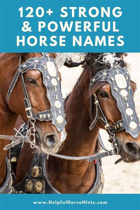 120+ Strong and Powerful Horse Names | Horse names, Horses, Male horse