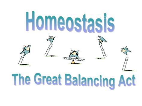 #127 Summary of Homeostasis and Co ordination | Biology ...