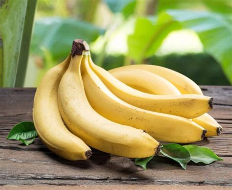 13 Different Types of Bananas