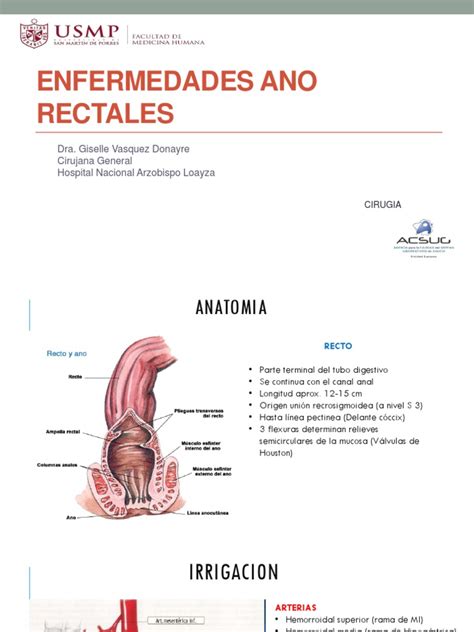 13 Enfermedades Ano rectales | Recto | Hemorroides