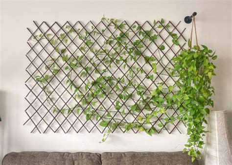 13 Lindas ideas para decorar tu casa con enredaderas | Plantas en pared ...