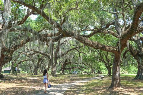 13 things to do in New Orleans, Louisiana • From All Corners