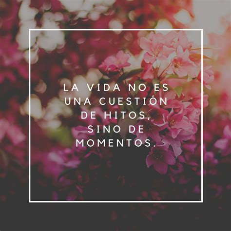 130 Frases bonitas, cortas y para fotos – Todo imágenes