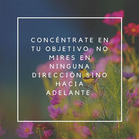 130 Frases bonitas, cortas y para fotos   Todo imágenes