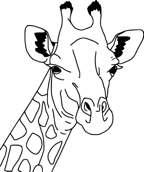 14 Cool Dessin De Girafe À Colorier Collection | Giraffe ...