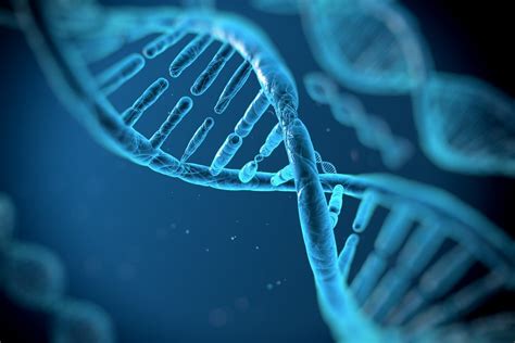 14 Ejemplos de Ácidos Nucleicos  son la base de la genetica