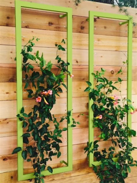 15 Beautiful and Functional Trellis Ideas for Climbing Plants   Bob Vila