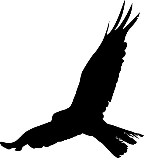 15 Bird Silhouette  PNG Transparent  | OnlyGFX.com