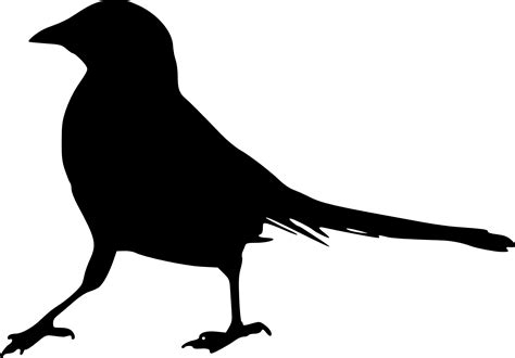 15 Bird Silhouette  PNG Transparent  | OnlyGFX.com