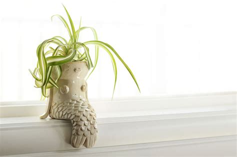 15 Creative Planter Designs That Would Make Any Flower Pot ...