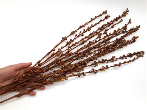 15 Dried Decorative Branches Brown Decorative Branches ...