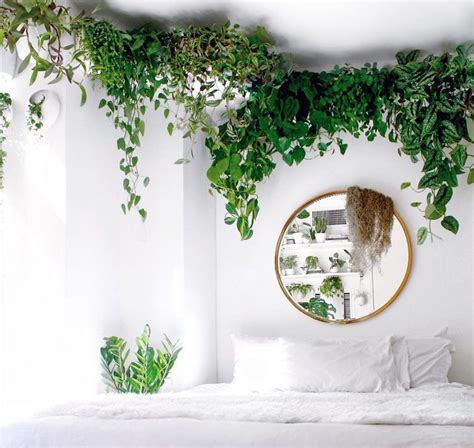 15 Ideas de decoración con plantas para hacer de cada ...