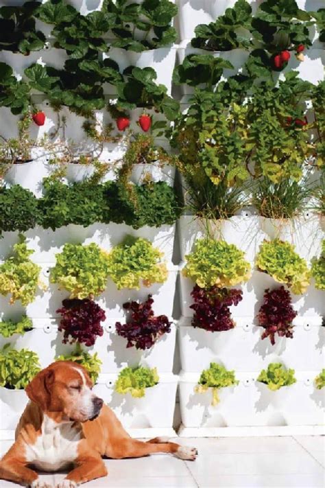 15 ideas para crear jardines verticales súper bonitos en 2020 ...