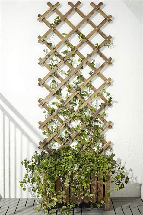 15 ideas para crear jardines verticales súper bonitos