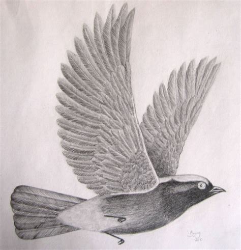 16+ Bird Drawings, Art Ideas | Design Trends   Premium PSD ...