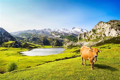 16 lugares de Asturias que deberías visitar | Skyscanner Espana