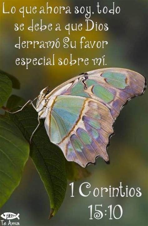17 Best images about mensajes mariposas on Pinterest ...