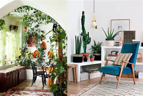 17 ideas para decorar tu sala de estar con plantas en esta ...