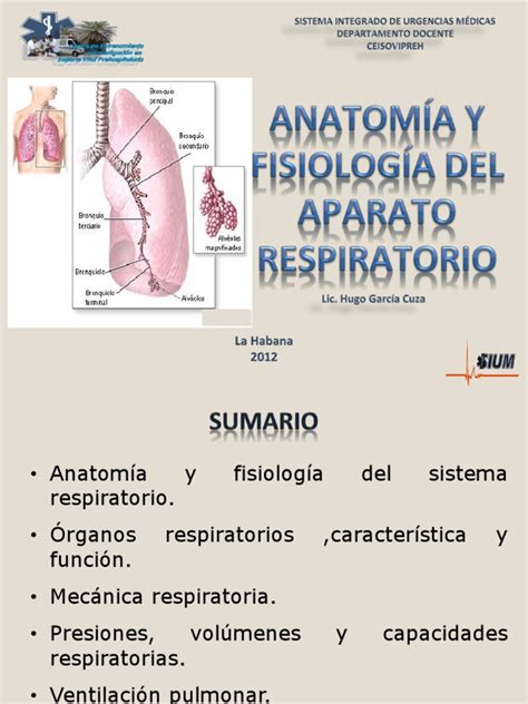 18   Anatomia y Fisiologia Respiratoria.ppt