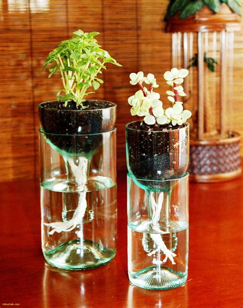 18 Fashionable Square Glass Vases Cheap | Decorative vase ...