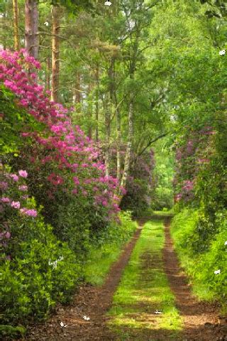 18 Imágenes de paisajes en movimiento que te harán soñar