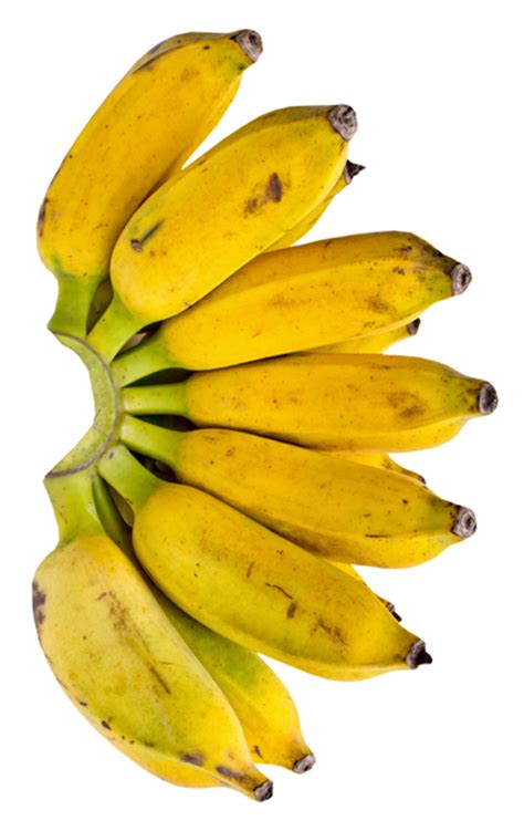 18 Ways that Bananas Help You to Lose Weight | Half The ...