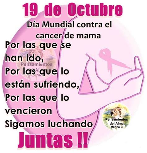 19 de Octubre: Día Mundial del Cáncer de Mama La ...