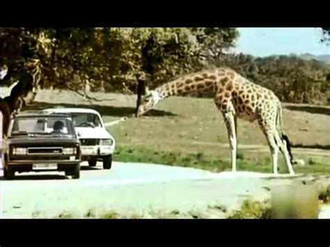 1978 Zoo de la Casa de Campo de Madrid   Safari Park de El ...