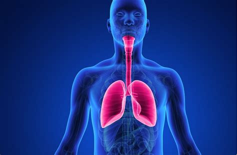1DOC3 | La hipertensión pulmonar puede ocasionar problemas ...