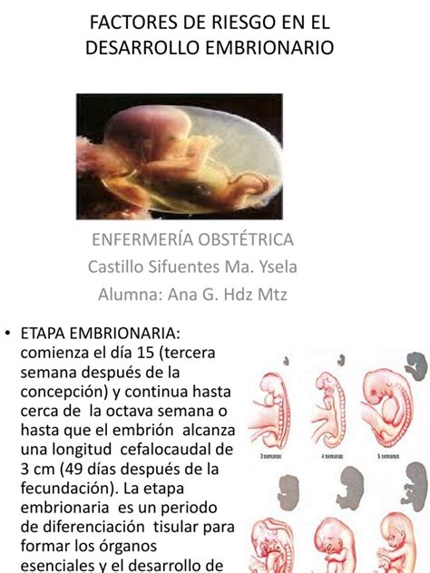 1factores de Riesgo en El Desarrollo Embrionario | Aborto espontáneo ...