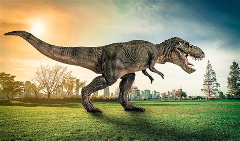 2.5 billion Tyrannosaurus rex   Researchers determine the population ...
