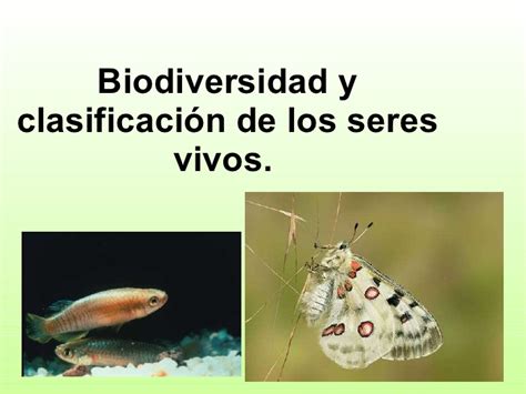 2 biodiversidad y clasificación de los seres vivos