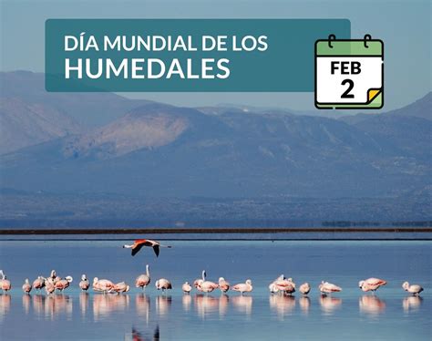 2 de febrero: Día Mundial de los Humedales   Rio Fm
