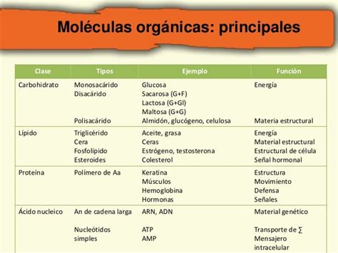 2. macromoleculas